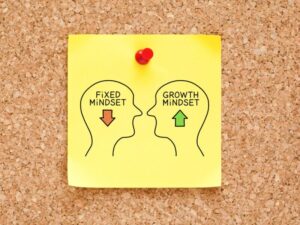 Fixed vs. Growth Mindset and how it impacts me as professional